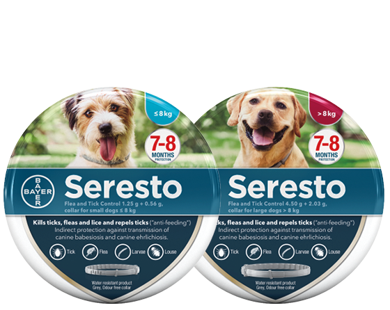 Bayer seresto 2025 flea collar